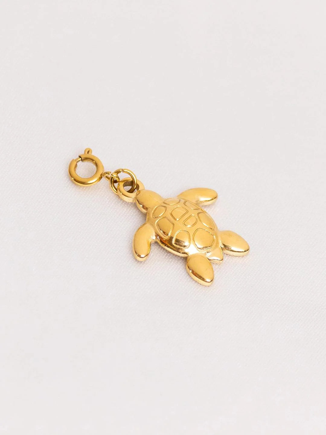 Tortoise Charm